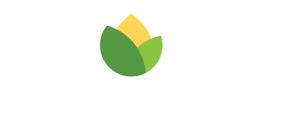Nova Feeds